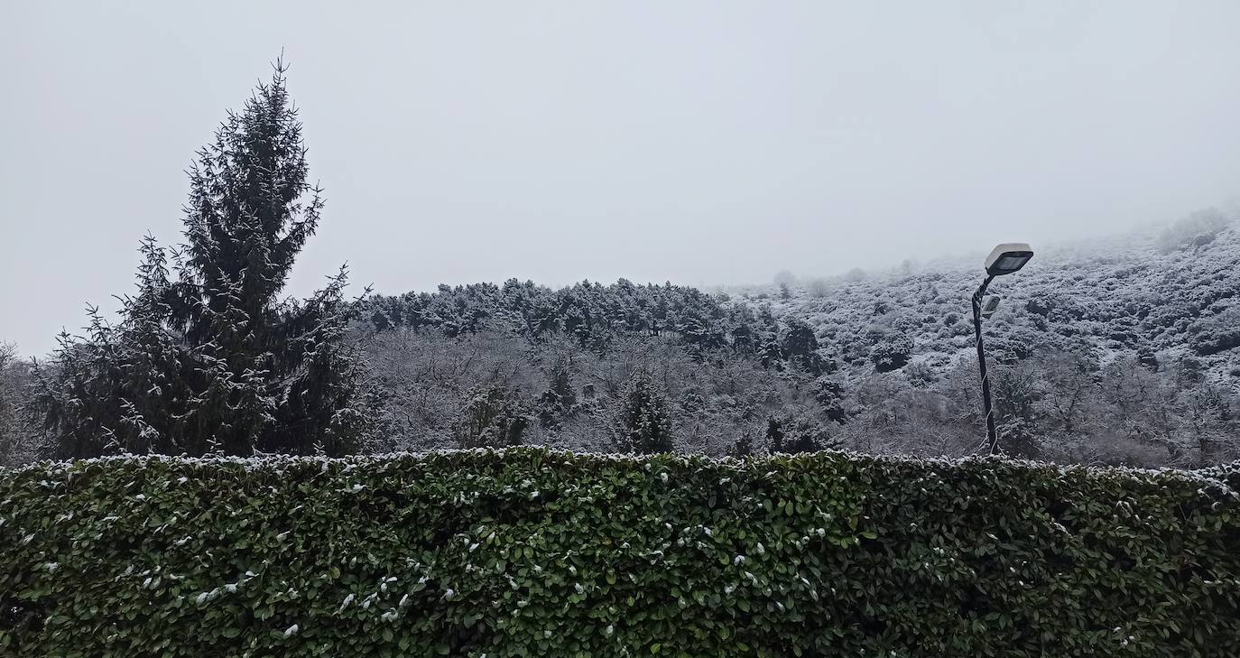 El temporal ha permitido que la capital berciana se tiñera de blanco en la mañana de este sábado